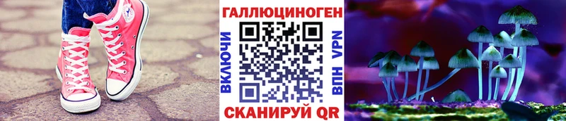 Купить  Ленск  Галлюциногенные грибы Magic Shrooms 